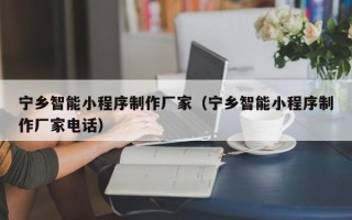 石家庄宁乡智能小程序制作厂家（宁乡智能小程序制作厂家电话）
