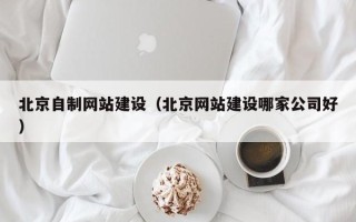 石家庄北京自制网站建设（北京网站建设哪家公司好）